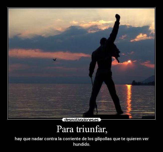 Para triunfar, - hay que nadar contra la corriente de los gilipollas que te quieren ver hundido.