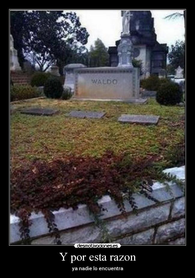 Y por esta razon - ya nadie lo encuentra