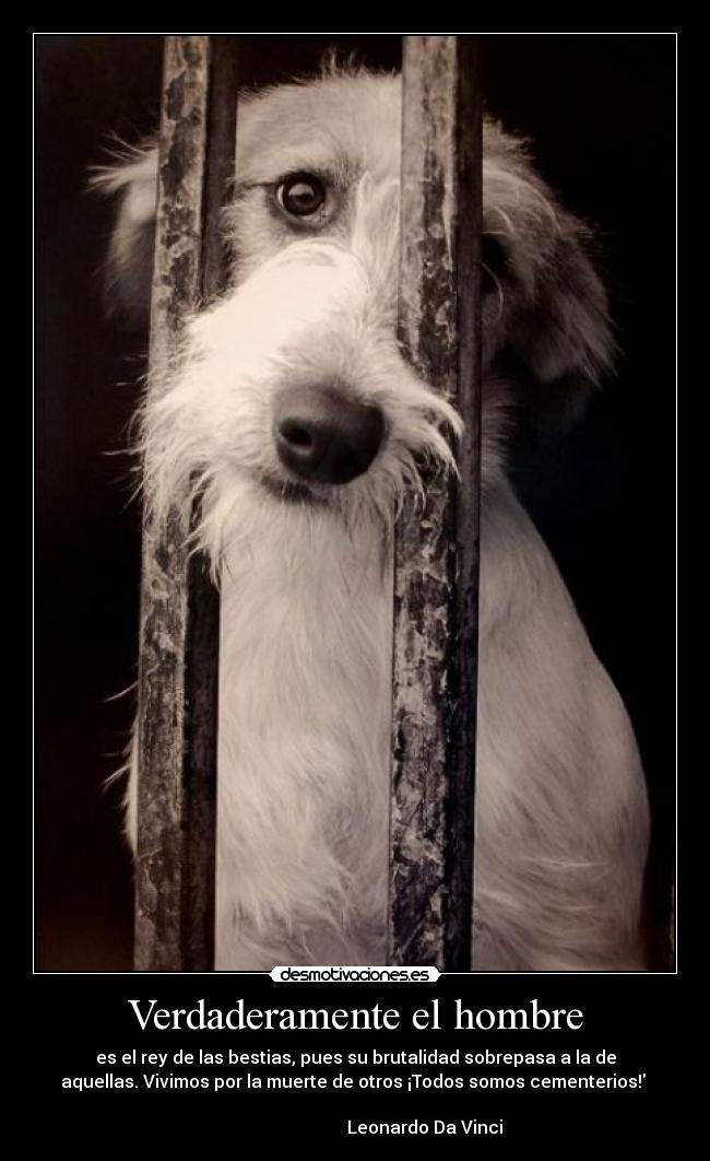 Verdaderamente el hombre -