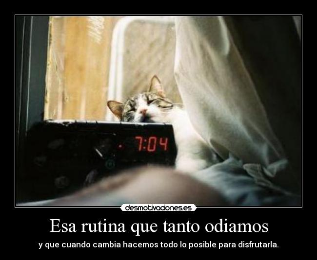 Esa rutina que tanto odiamos -