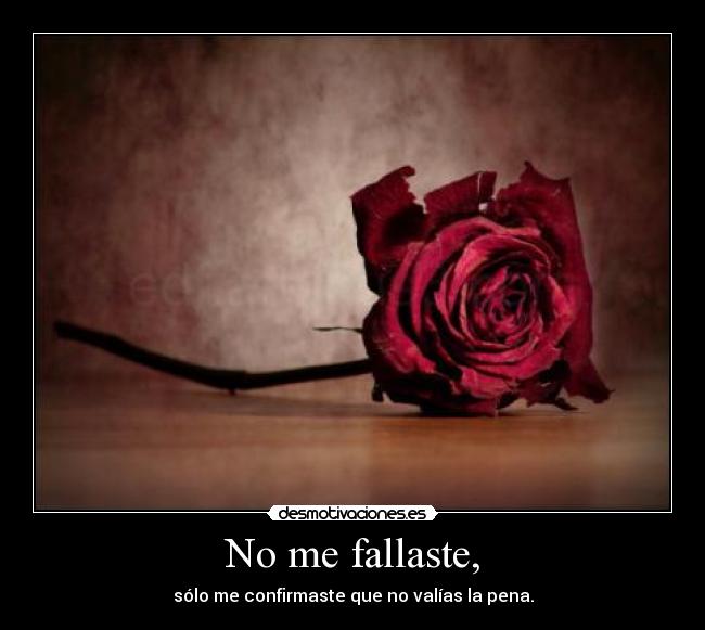 No me fallaste, - 