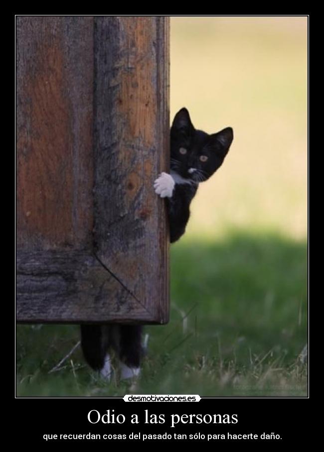 Odio a las personas - que recuerdan cosas del pasado tan sólo para hacerte daño.