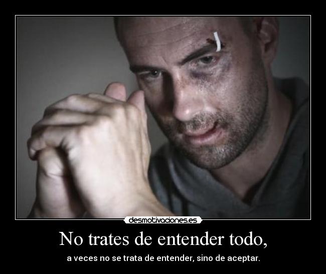 No trates de entender todo, -