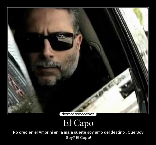 El Capo - No creo en el Amor ni en la mala suerte soy amo del destino , Que Soy Soy? El Capo!