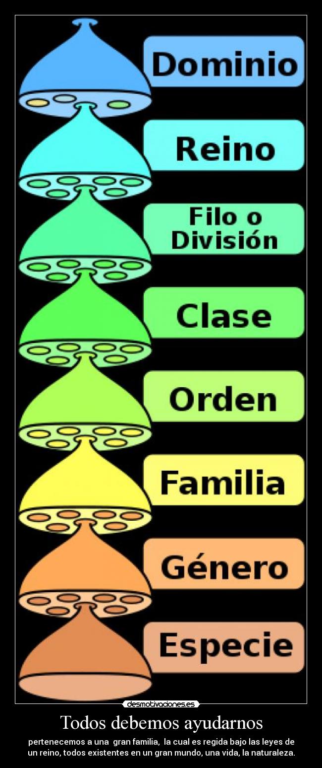 Todos debemos ayudarnos - pertenecemos a una gran familia, la cual es regida bajo las leyes de
un reino, todos existentes en un gran mundo, una vida, la naturaleza.