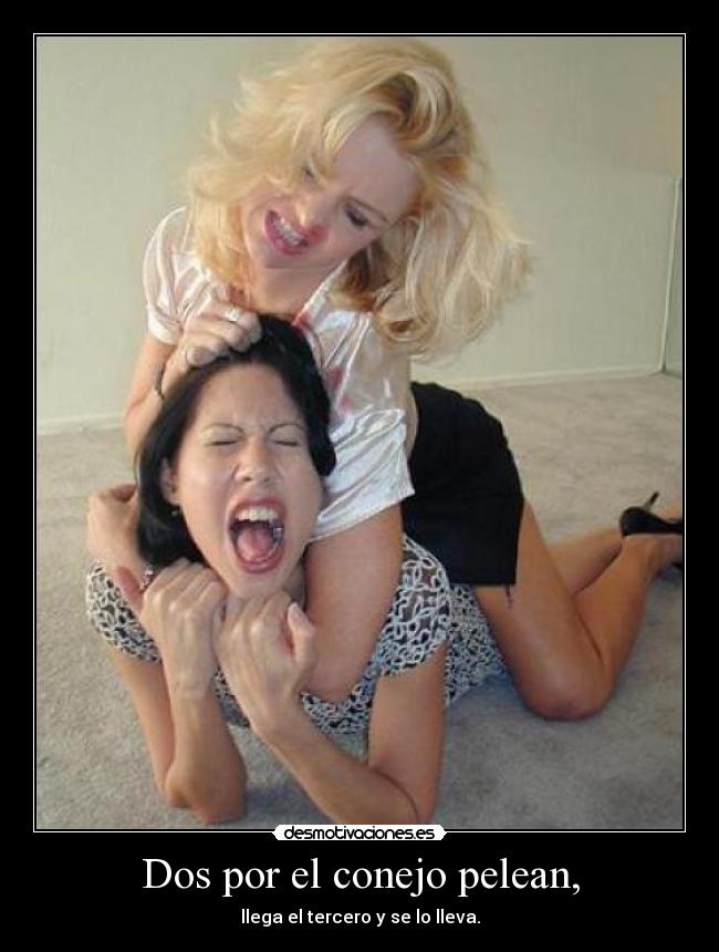 Dos por el conejo pelean, - llega el tercero y se lo lleva.