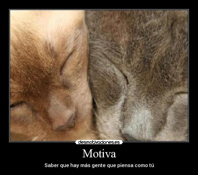 Motiva - 