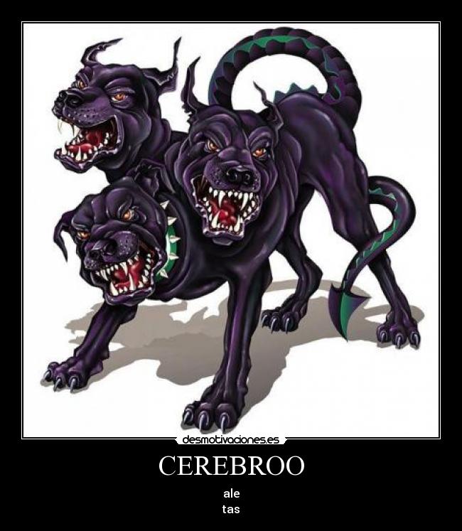 CEREBROO - 