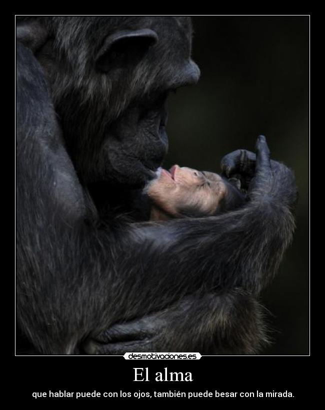 El alma - que hablar puede con los ojos, también puede besar con la mirada.