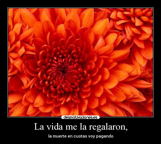 La vida me la regalaron, - la muerte en cuotas voy pagando