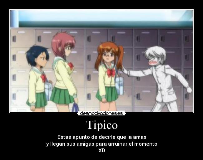 Tipico -