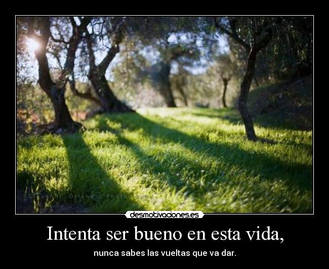 carteles vida vida desmotivaciones