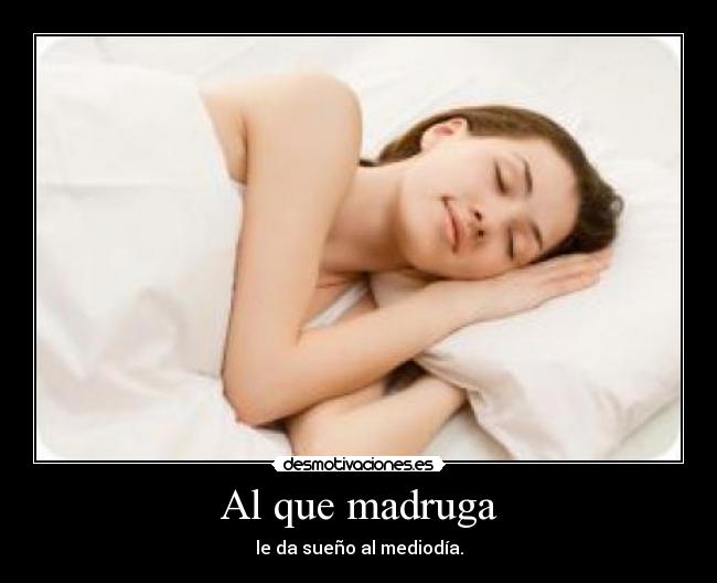 carteles mediodia madruga sueno desmotivaciones