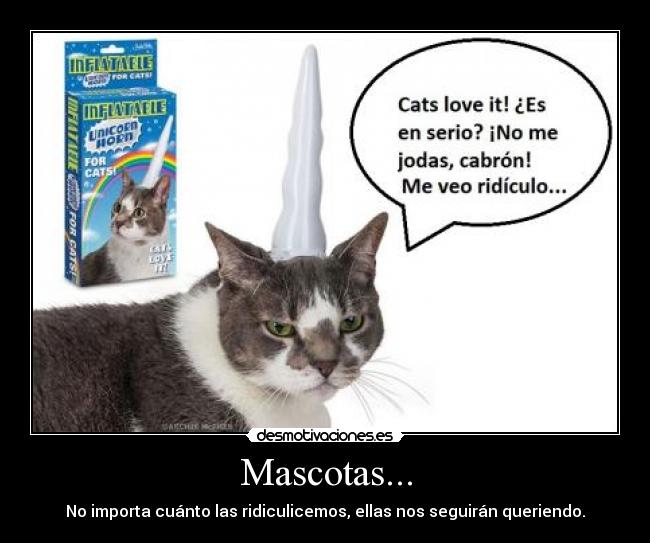 Mascotas... -