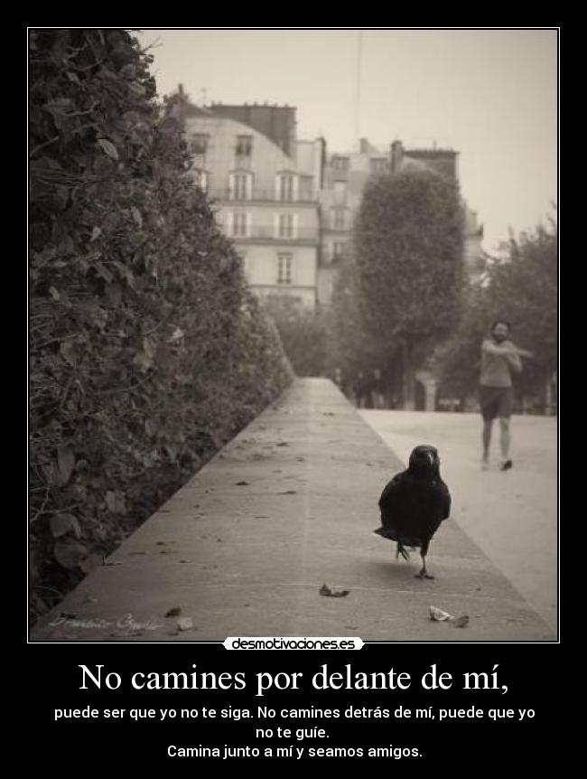 No camines por delante de mí, - puede ser que yo no te siga. No camines detrás de mí, puede que yo no te guíe. 
Camina junto a mí y seamos amigos.