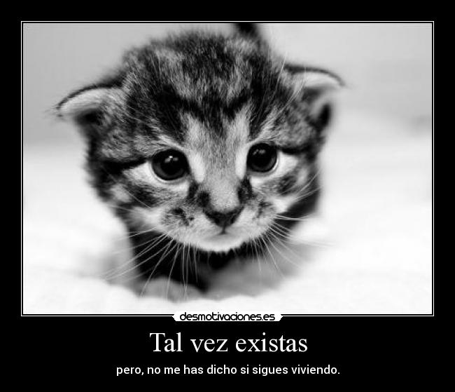 Tal vez existas - 