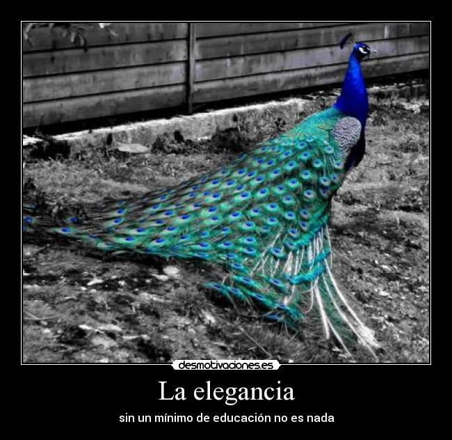 La elegancia -
