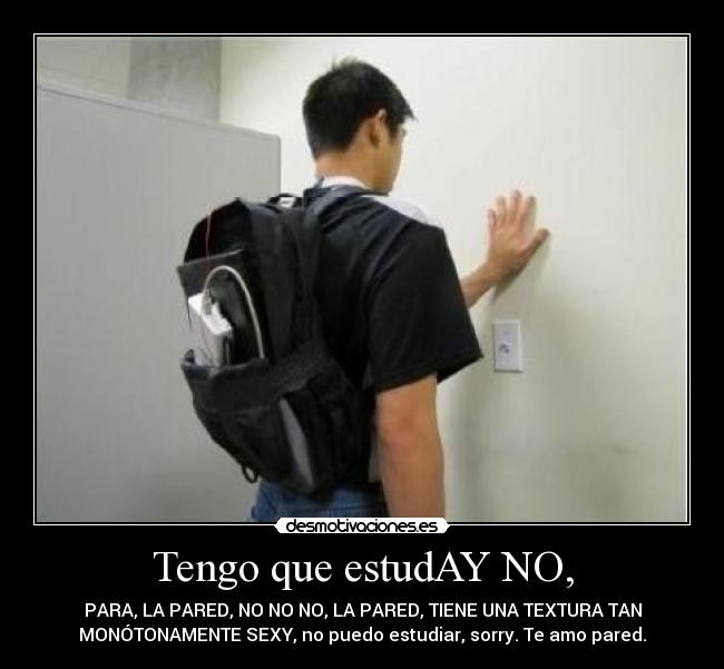 Tengo que estudAY NO, - PARA, LA PARED, NO NO NO, LA PARED, TIENE UNA TEXTURA TAN
MONÓTONAMENTE SEXY, no puedo estudiar, sorry. Te amo pared.