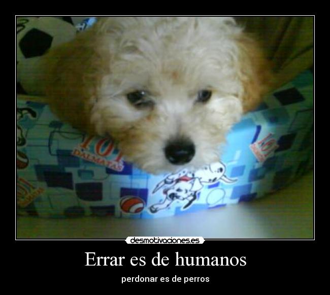 Errar es de humanos - 