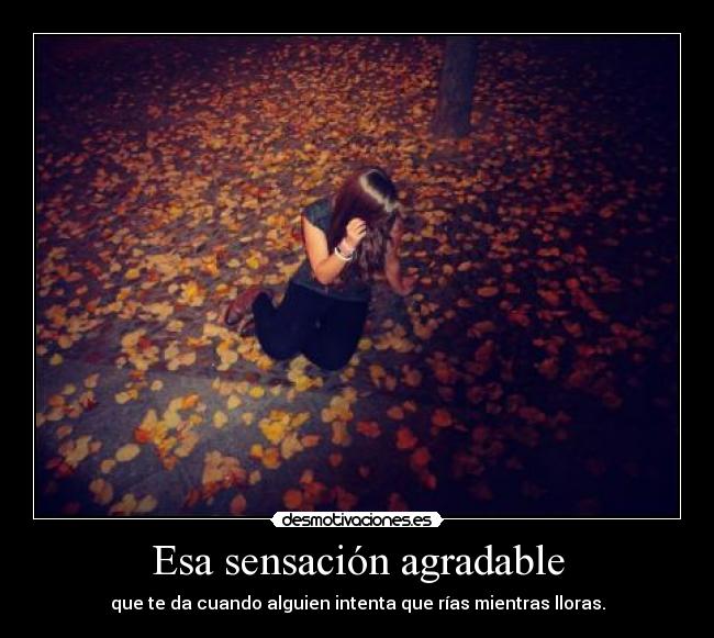 Esa sensación agradable - que te da cuando alguien intenta que rías mientras lloras.