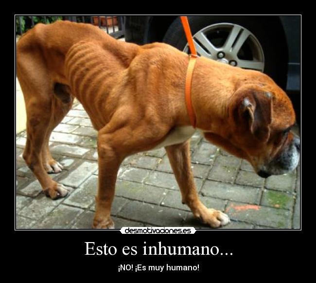 Esto es inhumano... - 