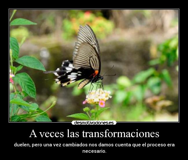 A veces las transformaciones -
