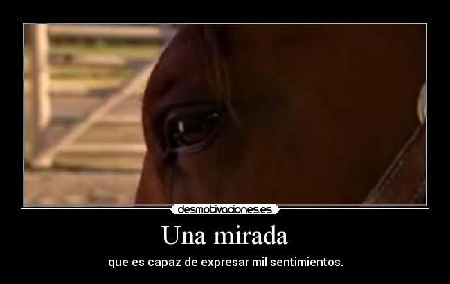Una mirada - 
