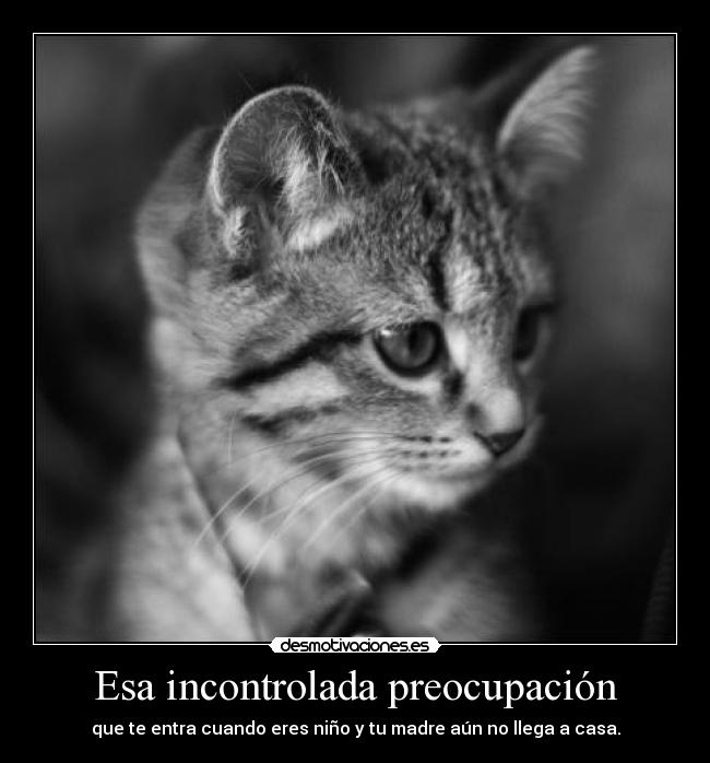 Esa incontrolada preocupación - 