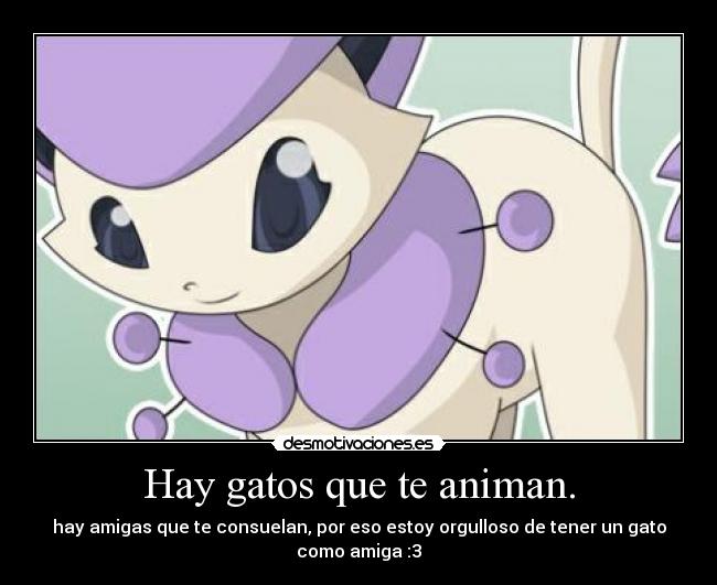Hay gatos que te animan. - hay amigas que te consuelan, por eso estoy orgulloso de tener un gato como amiga :3