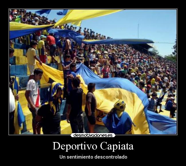 carteles campeon desmotivaciones