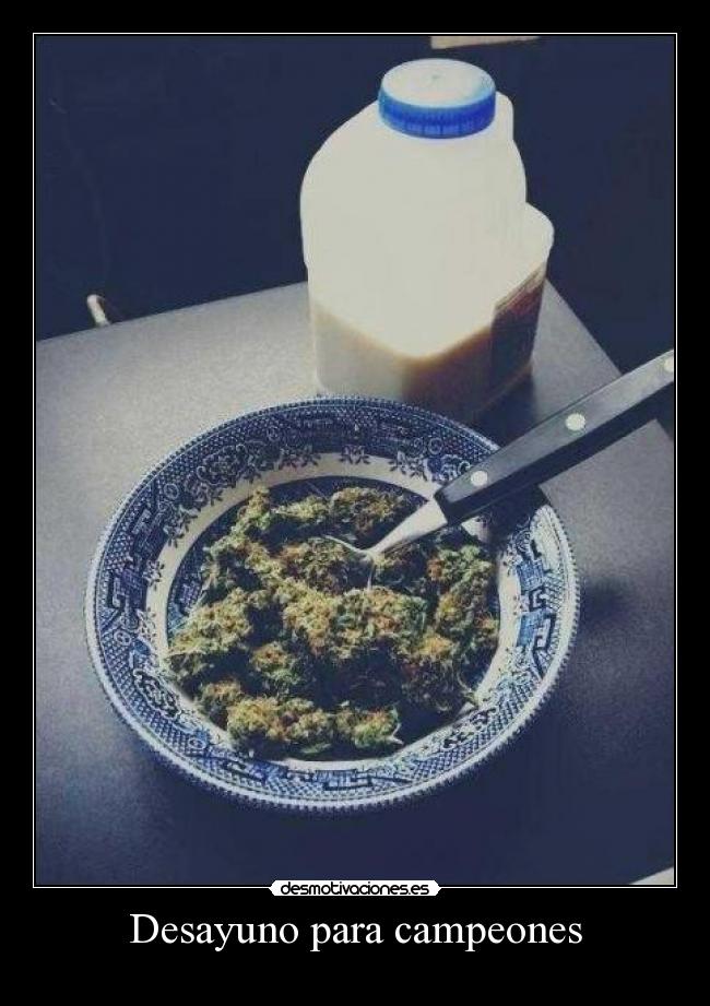 Desayuno para campeones - 