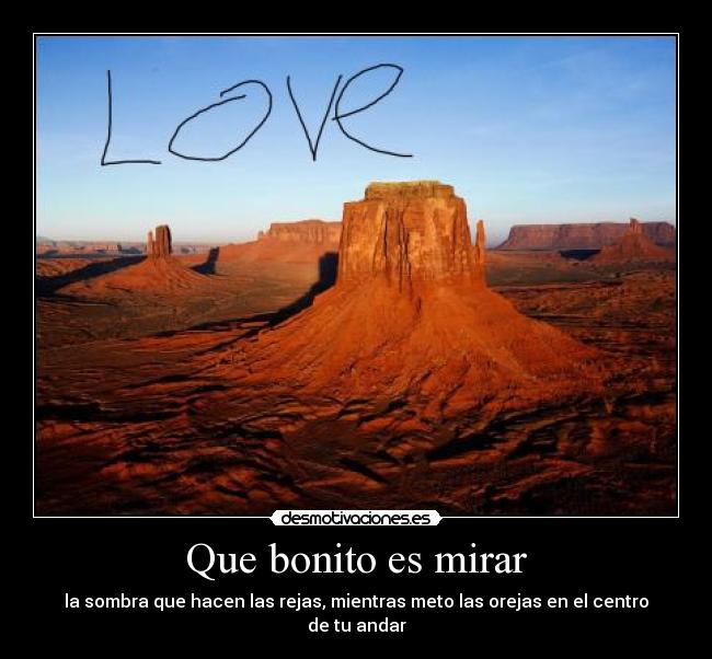 Que bonito es mirar - la sombra que hacen las rejas, mientras meto las orejas en el centro de tu andar