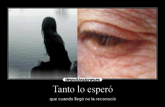 Tanto lo esperó - que cuando llegó no la reconoció