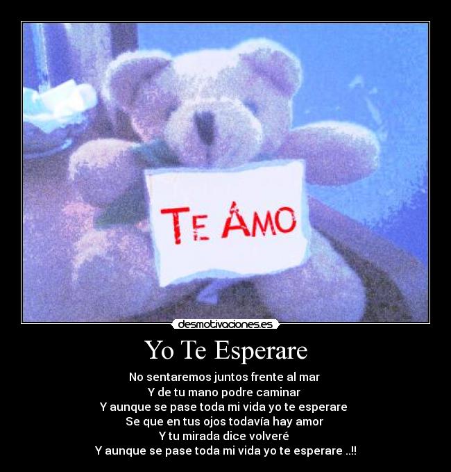 Yo Te Esperare -