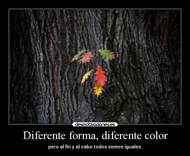 Diferente forma, diferente color - pero al fin y al cabo todos somos iguales.