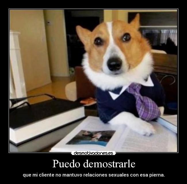 Puedo demostrarle - que mi cliente no mantuvo relaciones sexuales con esa pierna.