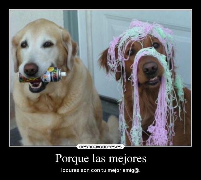 Porque las mejores - 