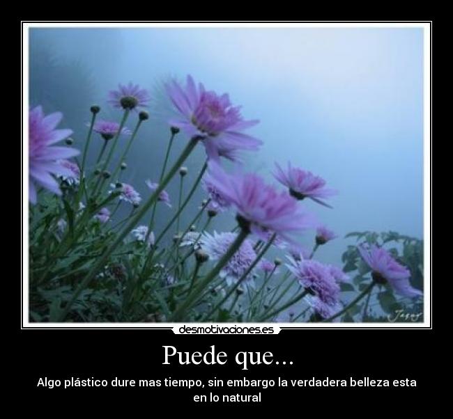 Puede que... - 