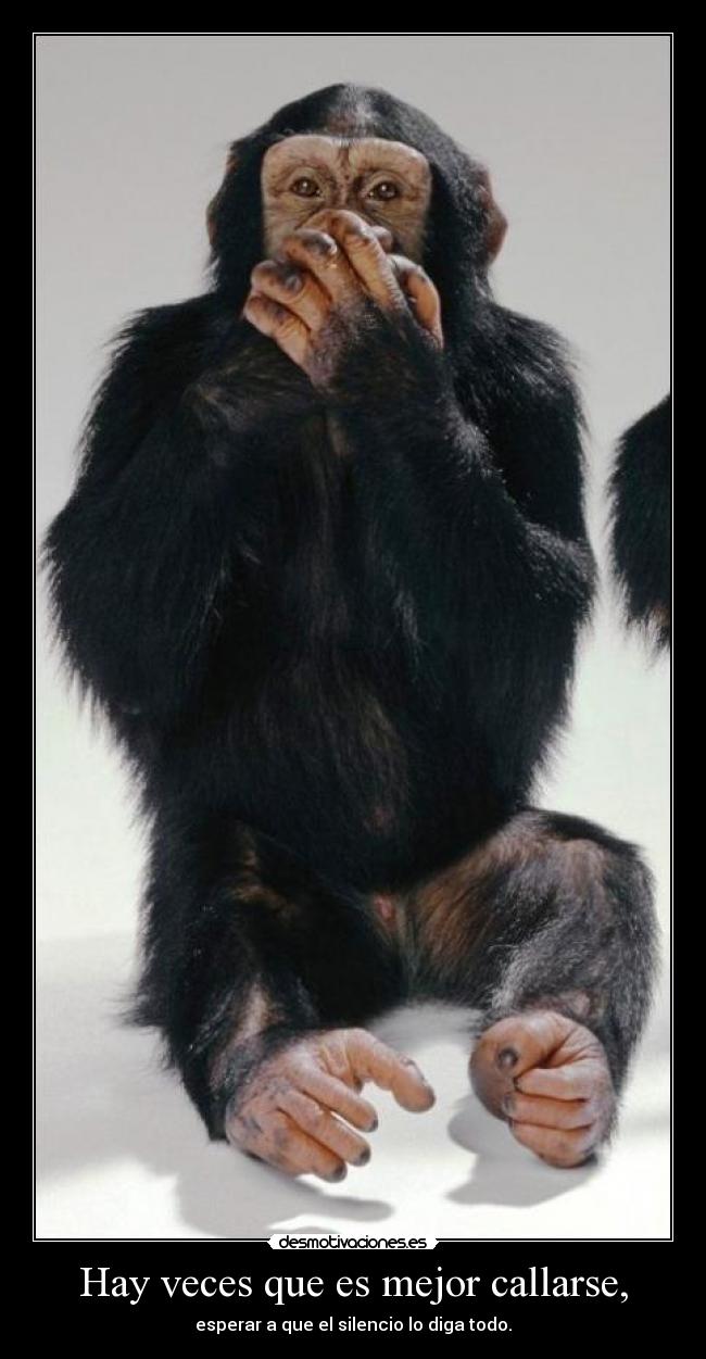 Hay veces que es mejor callarse, - esperar a que el silencio lo diga todo.