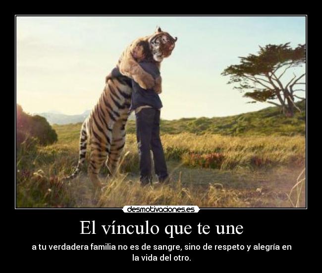 carteles elalienveloz desmotivaciones