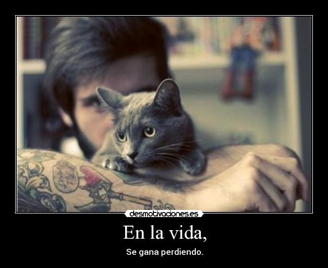 En la vida, - Se gana perdiendo.