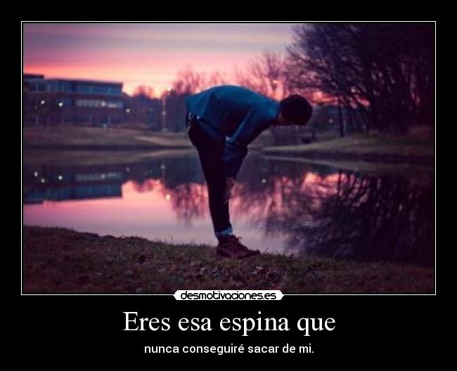 Eres esa espina que - nunca conseguiré sacar de mi.