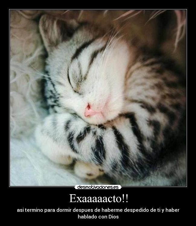 carteles zaap desmotivaciones