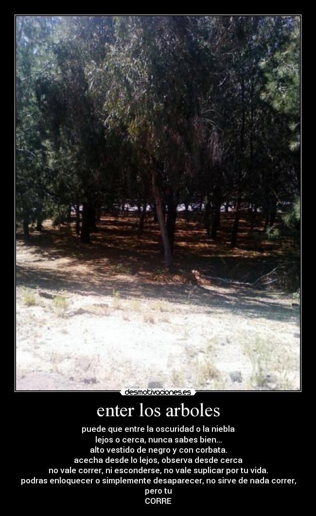 enter los arboles - puede que entre la oscuridad o la niebla
lejos o cerca, nunca sabes bien...
alto vestido de negro y con corbata.
acecha desde lo lejos, observa desde cerca
no vale correr, ni esconderse, no vale suplicar por tu vida.
podras enloquecer o simplemente desaparecer, no sirve de nada correr, pero tu
CORRE