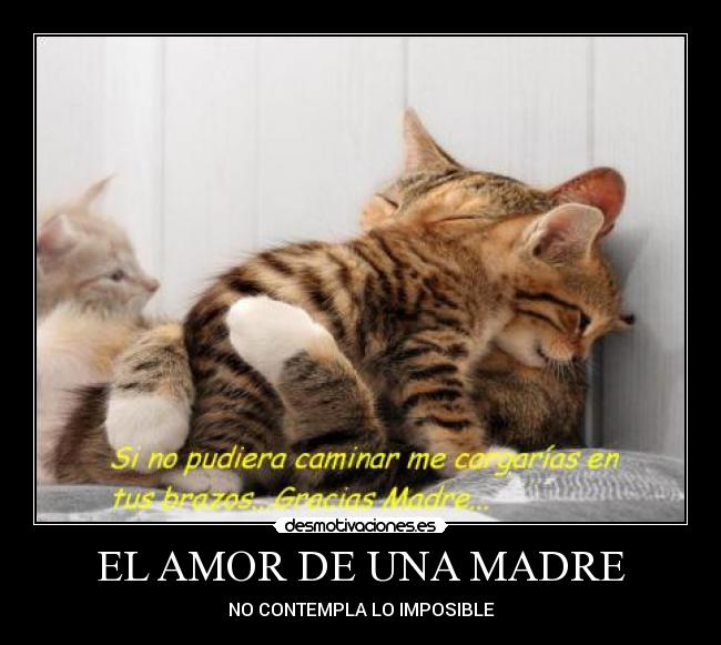 EL AMOR DE UNA MADRE - NO CONTEMPLA LO IMPOSIBLE