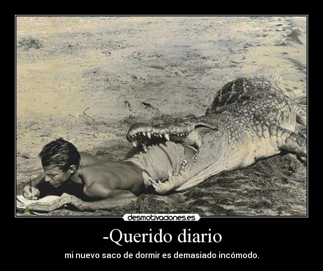 -Querido diario - mi nuevo saco de dormir es demasiado incómodo.