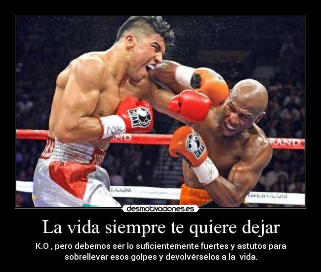 La vida siempre te quiere dejar - K.O , pero debemos ser lo suficientemente fuertes y astutos para
sobrellevar esos golpes y devolvérselos a la  vida.