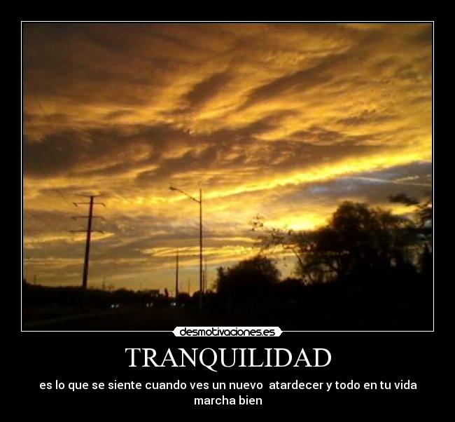 carteles amor desmotivaciones