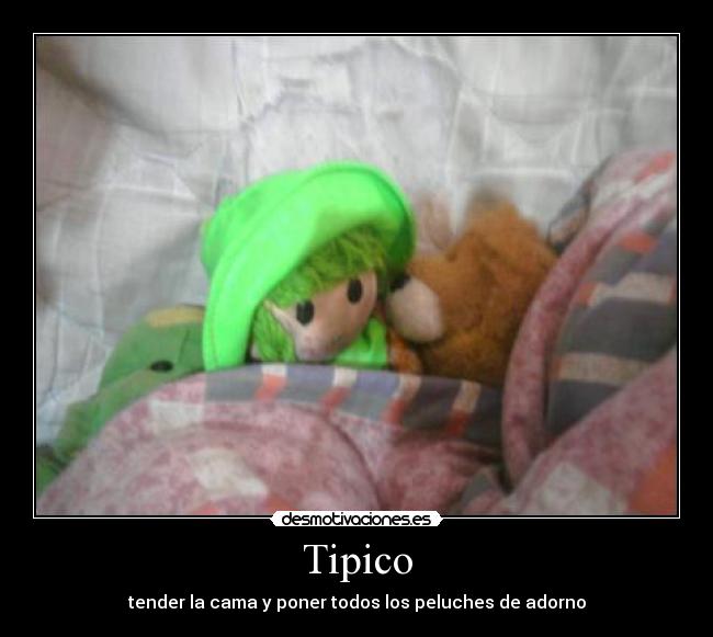 Tipico - 
