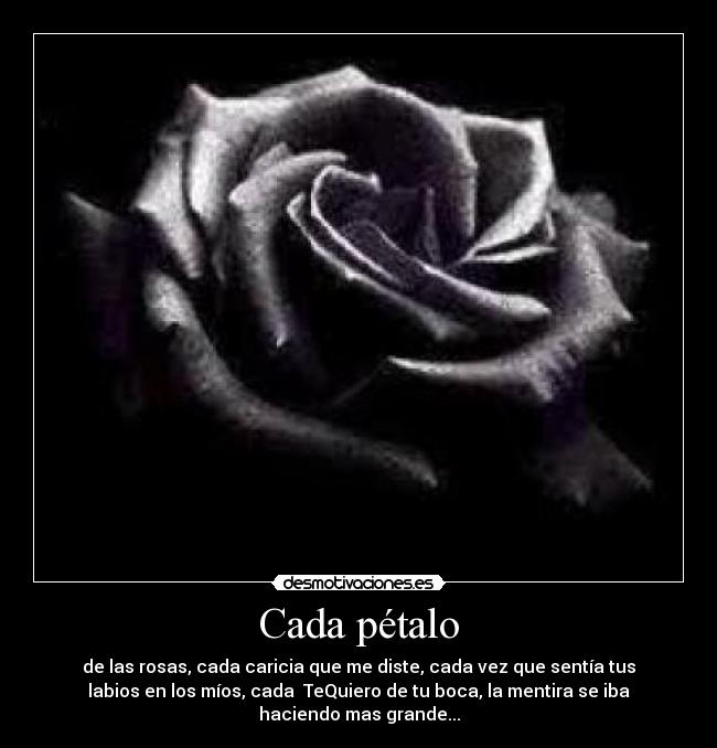 Cada pétalo - de las rosas, cada caricia que me diste, cada vez que sentía tus
labios en los míos, cada TeQuiero de tu boca, la mentira se iba
haciendo mas grande...